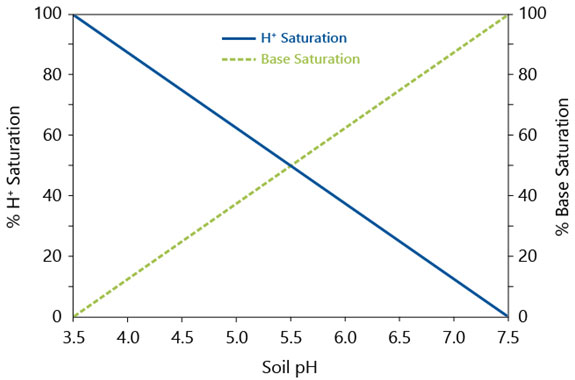 Graph - Base saturation and the CEC across soil pH.