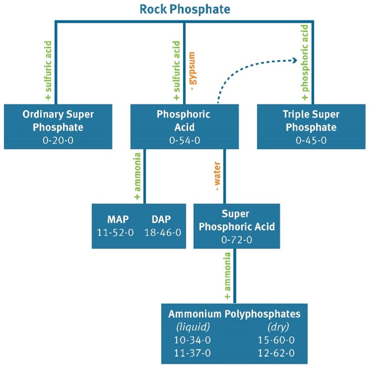 Diagram - Rock phosphate is mined and treated to produce various forms of phosphorus fertilizer.
