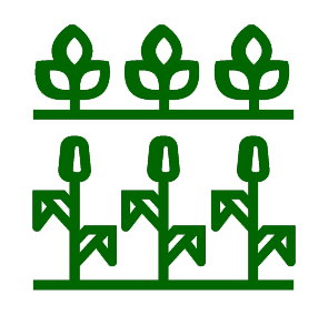 Hear the latest growing-season updates Hear the latest growing-season updates