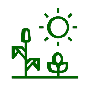 Weather and climate implications at harvest Weather and climate implications at harvest