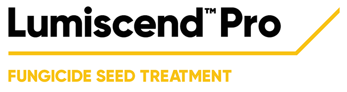 Lumiscend Pro fungicide seed treatment Lumiscend Pro fungicide seed treatment