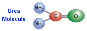 Illustration: Urea molecule