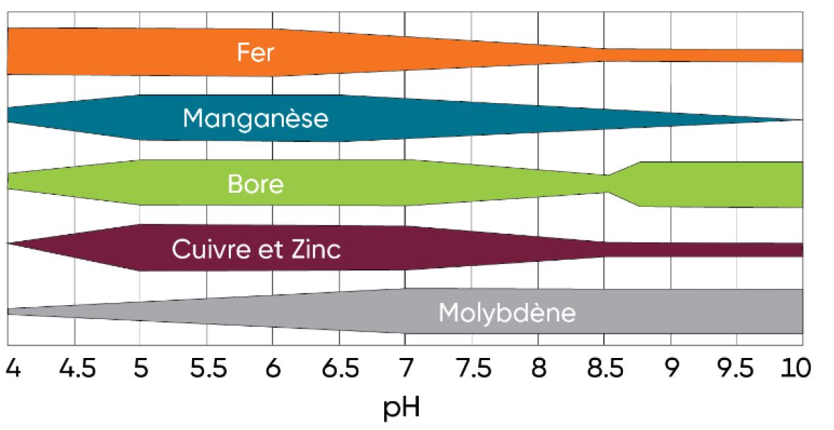 Disponibilité relative des micronutriments selon le pH du sol.