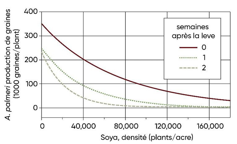Effets (densité du soya, moment de la levée de l’amarante de Palmer) par rapport à la culture sur le poids sec de l’amarante de Palmer par plant au moment de la récolte