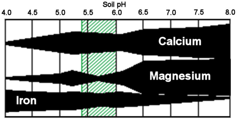 Relative availability of magnesium calcium and iron in low CEC soils Relative availability of magnesium calcium and iron in low CEC soils