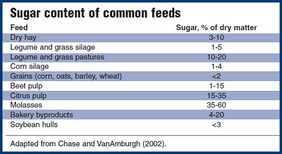 Sugar content of common feeds