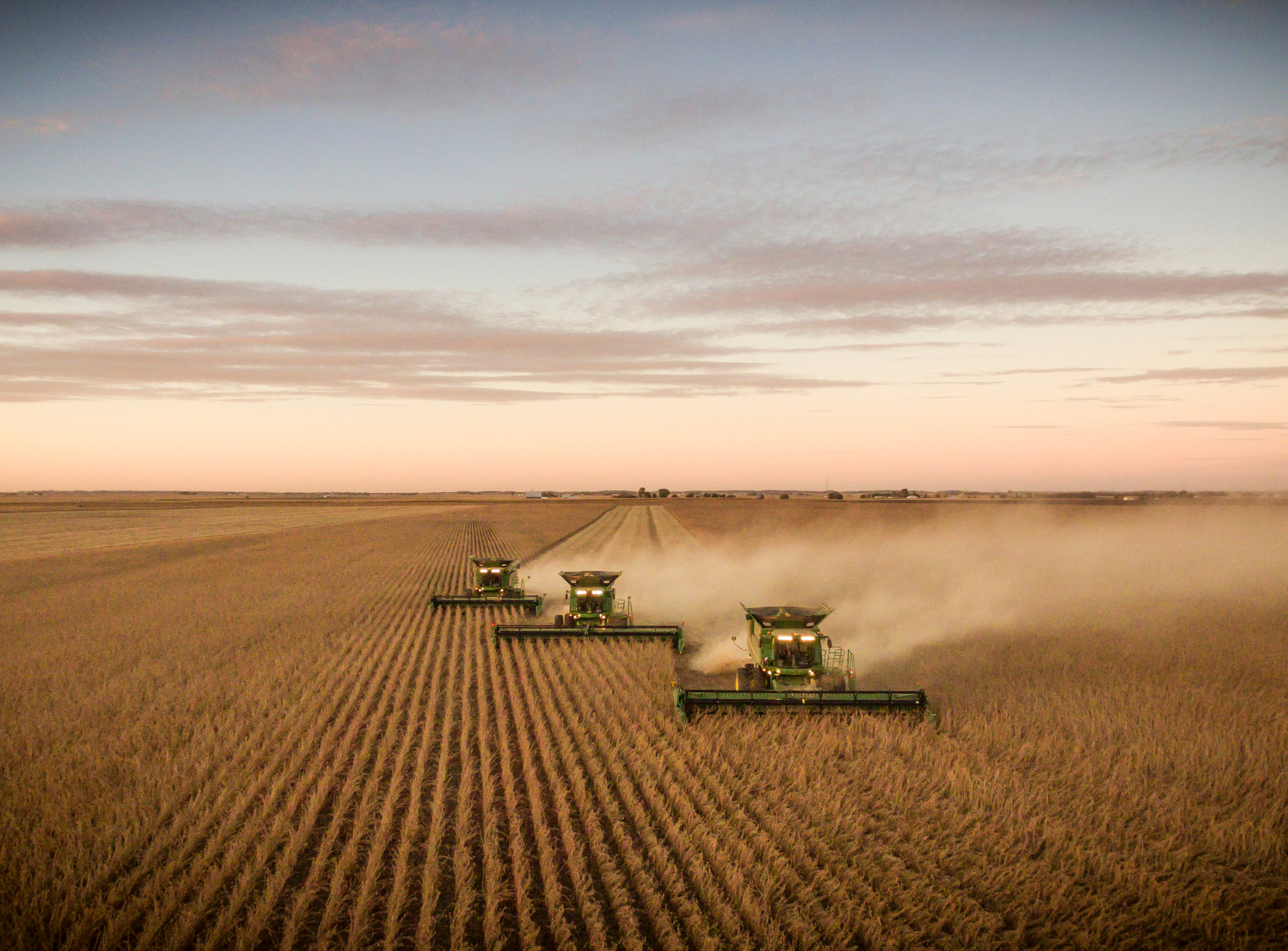 Combines harvesting field