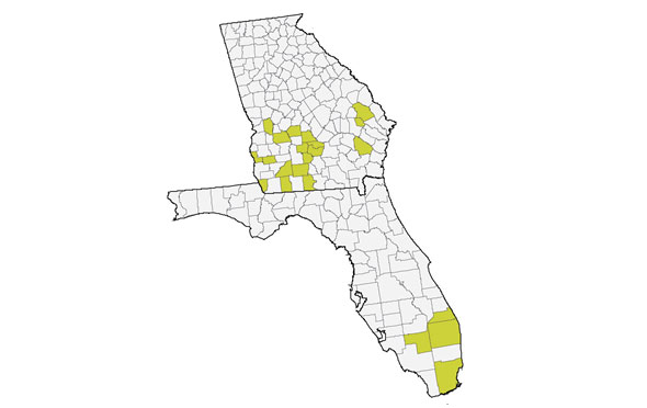 Counties in Georgia and Florida with confirmed incidence of tar spot, as of October 2022.