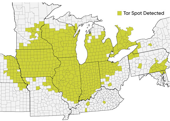 Counties in the Midwest with confirmed incidence of tar spot, as of October 2022.