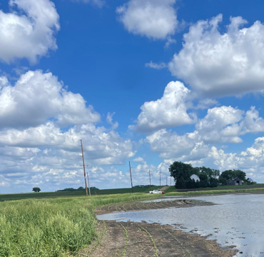 Ponding on a farm near Alden MN on June 3