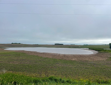 Ponding on a farm near Albert Lea MN on June 22