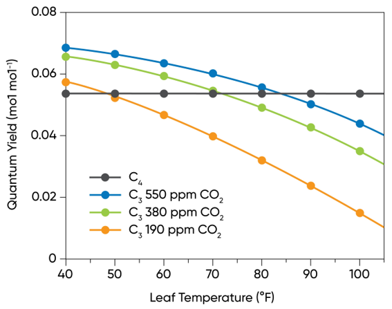 Modelled interaction between temperature and CO2 level on the photosynthetic quantum yields of C3 and C4 plants