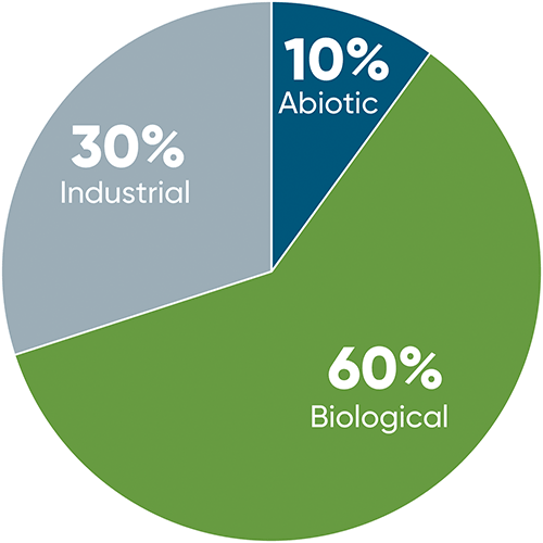 Relative contributions of abiotic - biological - and industrial nitrogen fixation to the total amount of fixed nitrogen on Earth