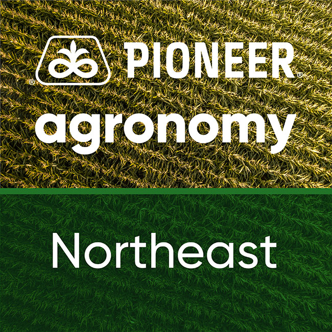 Northeast US - Pioneer Agronomy Podcasts