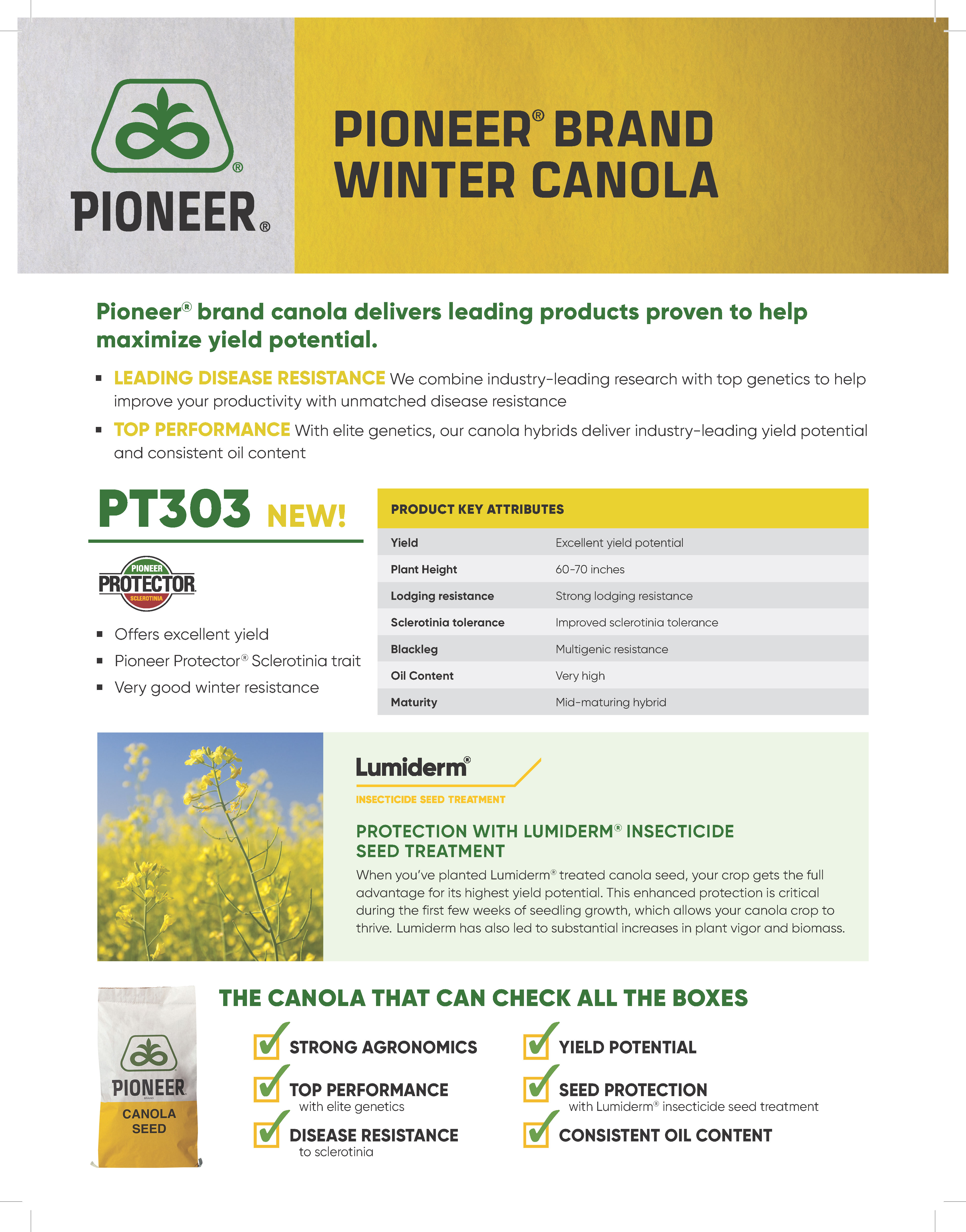 Pioneer brand winter canola