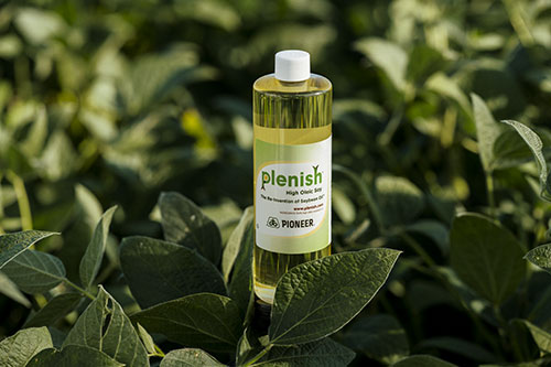 Plenish high oleic soybeans