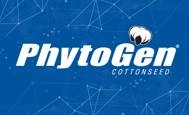 Cotton Solutions from PhytoGen Cottonseed