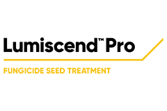 Lumiscend Pro fungicide seed treatment